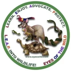 Wallaby-Tales-Logo-300x300